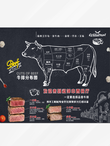 牛排展板海报牛肉分类图