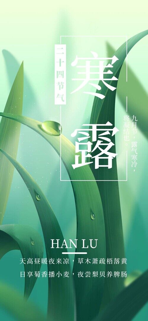 二十四节气宣传清新手绘创意海报