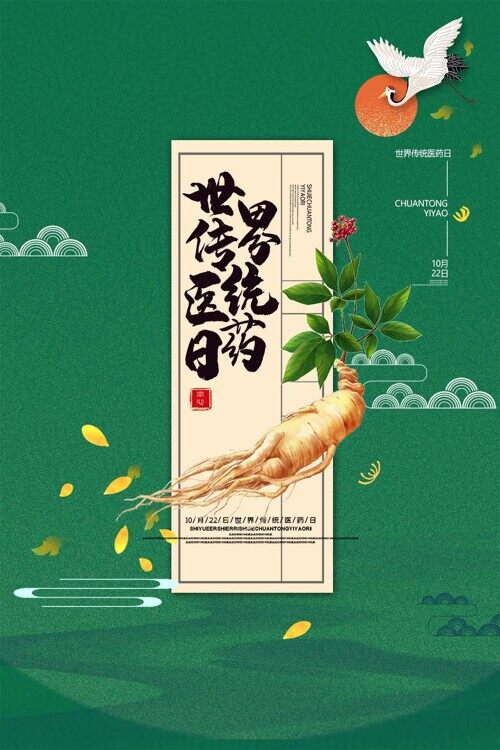 简约手绘国潮风世界传统医药日海报