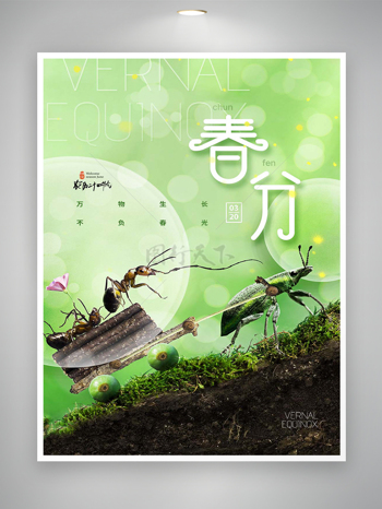 春分节气宣传绿色清新创意海报