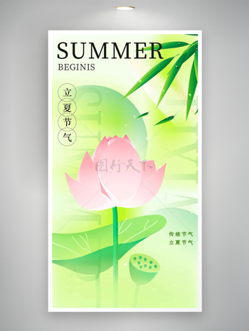 莲蓬荷花元素清新简约背景立夏海报